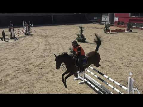 Evren Alam - Diorado H - 21.04.2021 İASK Kupası 130 cm Birincisi