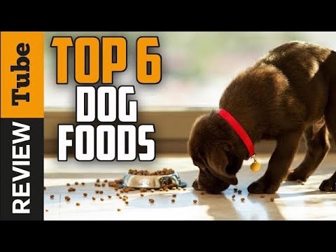 Dog food: Best Food for dogs [2025]