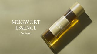 I'm from Mugwort Essence