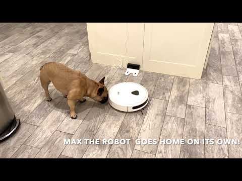 Maximus And TRIFO's MAX ROBOT