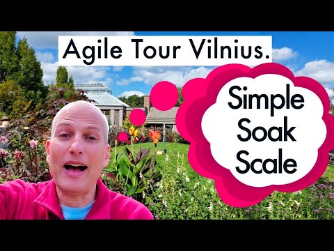 How to Simplify an ☀️☀️☀️ Agile transformation?  Catch me at Agile Tour Vilnius this October