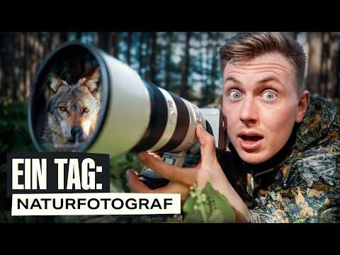 Auf der Jagd nach dem Wolf - 1 Tag als Naturfotograf