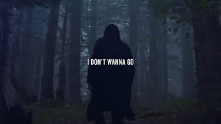 Alan Walker - I Don't Wanna Go (Lyrics Video)