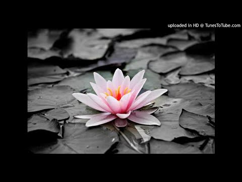 Prabhakar Jog- Pratham Tuj Pahata