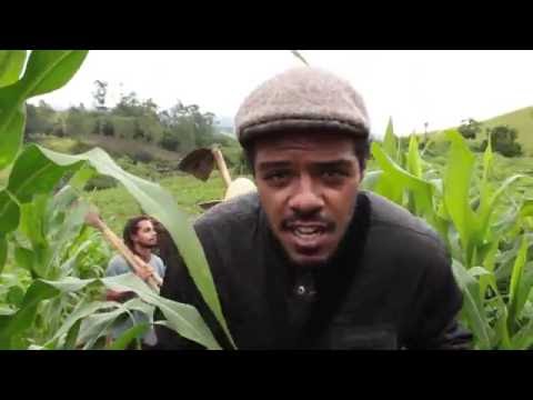 Jah Coffee (Monkey Jhayam) & Ranking Uaíses - De que adianta ?  (Cultivators Riddim )