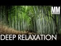 1 Hour Gentle Wake Up Relaxation Music: Happy ...