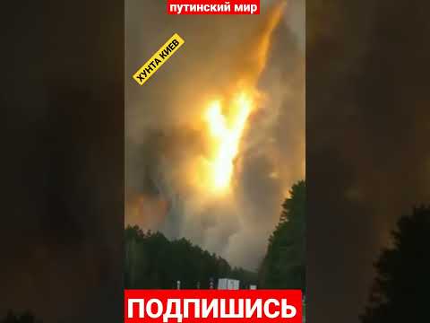 Кургане  страшные пожары. Вот так выглядит выезд в сторону Екатеринбурга.