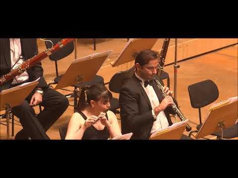 Nikos Skalkottas: Suite for violin and chamber orchestra (1929)