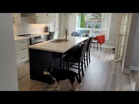 Whole house renovation in the Whitby area