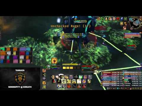 WoW - Serendipity | Ret Pal POV | Mythic Harjatan