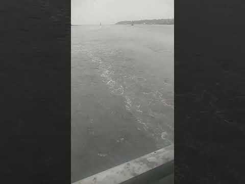 Board in Ocean Mumbai Versoa Beach injoy with Gaytree Chandani