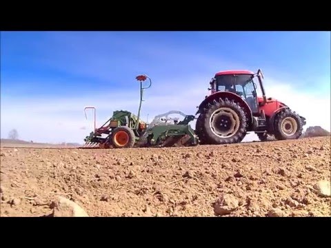 Siew Owsa 2016 na Podlasiu |Zetor| Amazone D8 40 | Tolmet 4.0