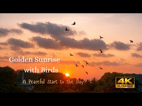 Golden Sunrise with Birds | A Peaceful Start to the Day 4K