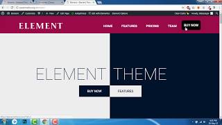 How to add a button in the menu  -  Element Theme, Elementor