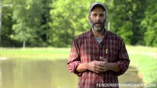 Pond Management - For better fish growth