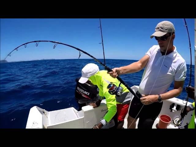 TROPICAL FISHING (Mitsio, Madagascar) octobre 2015 partie 2