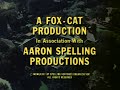 Fox Cat Productions Aaron Spelling Productions 20th Television 1981 1992 2