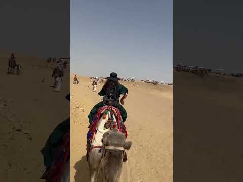 Camel Riding at the Pyramids of Giza