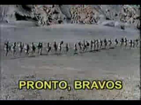 Firmes Fuertes - maruševec