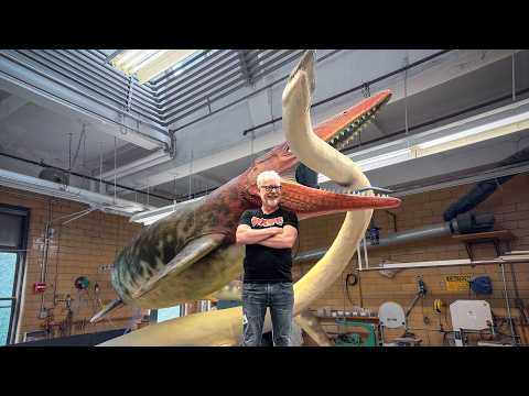 What Happened After the Dinosaurs Died?