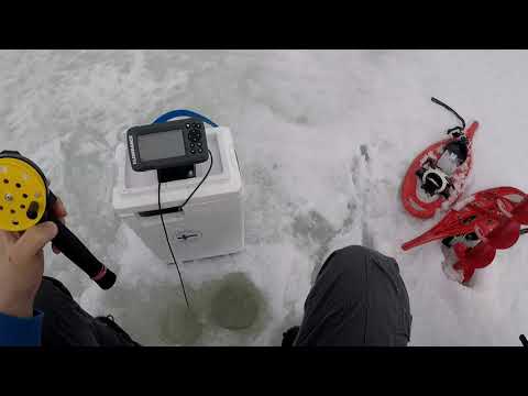 Maaliskuu 2021 pilkkiretki Vaivioon