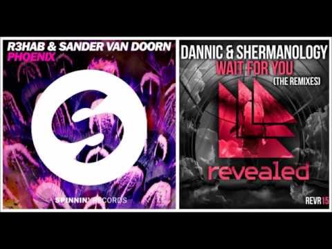 Dannic vs. R3hab & Sander Van Doorn - Wait for You vs. Phoenix (Caolan McCafferty Mashup)