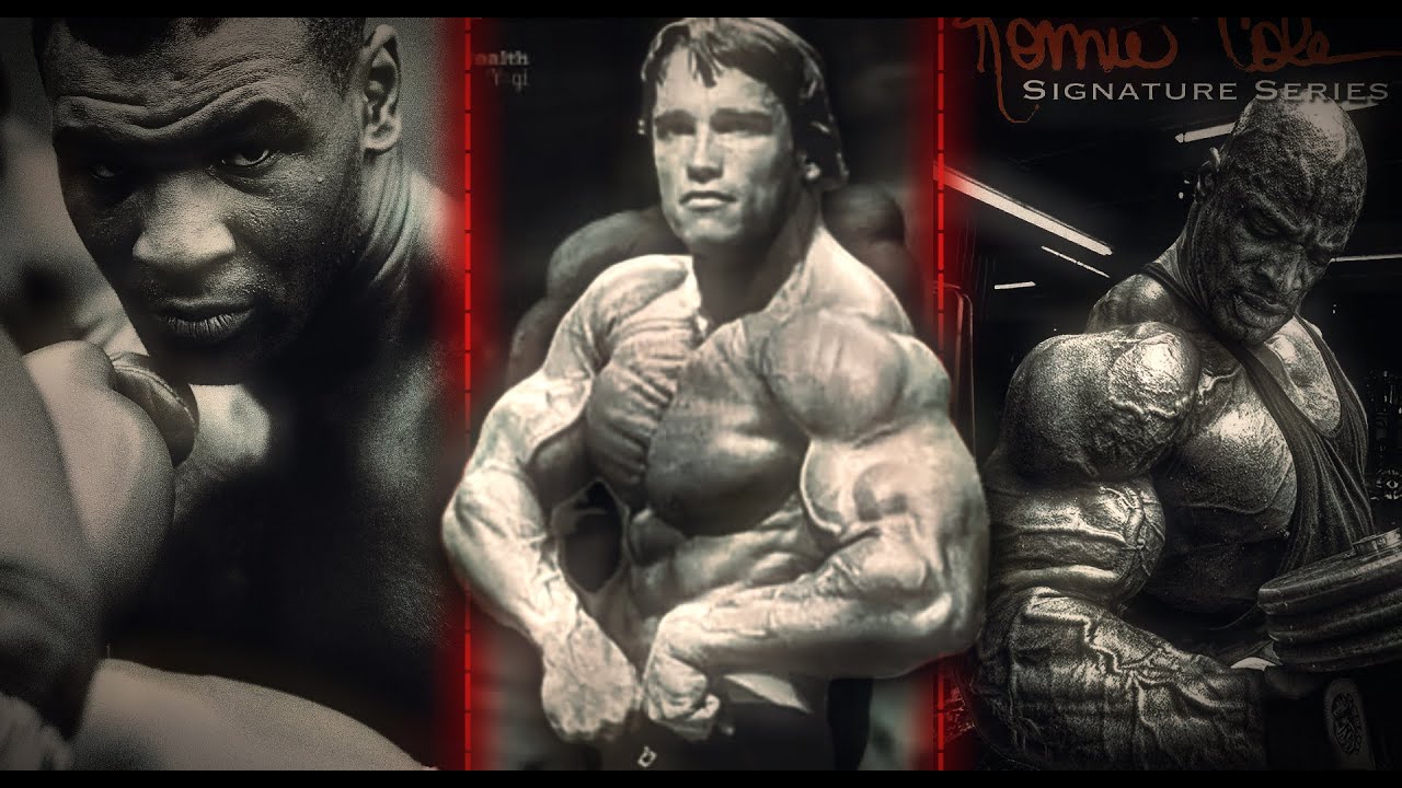 TESTOSTERONE (GYM EDITION) PART 1 | Gallowdance