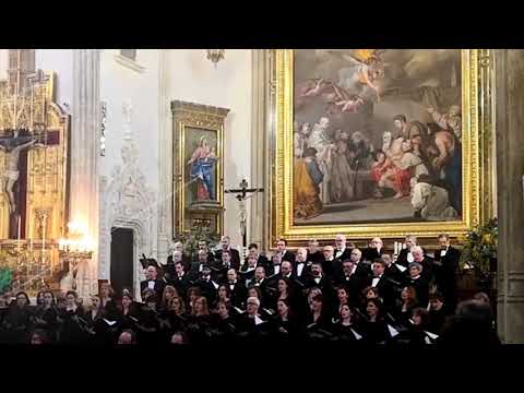 Requiem en Re menor KV 626 - W. A. Mozart (Introitus, Kyrie, Dies Irae)
