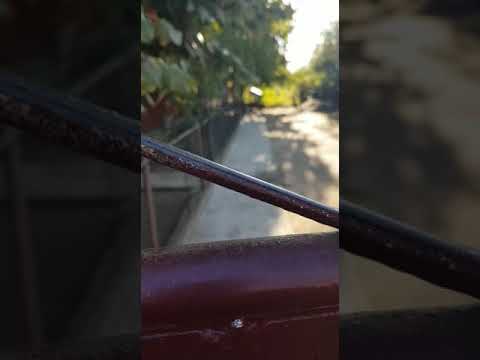 nereguli la alegerile locale 2020, într-o comună din Teleorman