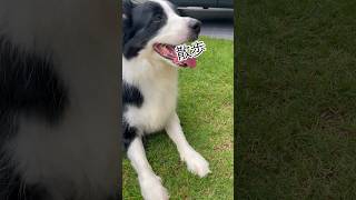 散歩