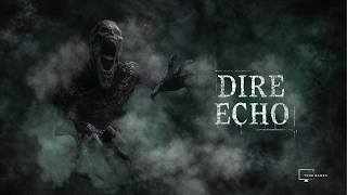 Watch and explore about Dire Echo PC Steam CD Key