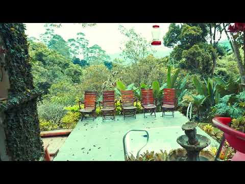 Fincas y Casas Campestres, Venta, Yumbo - $1.400.000.000