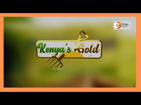 Kenya's Gold