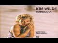 Kim Wilde - watching for shapes