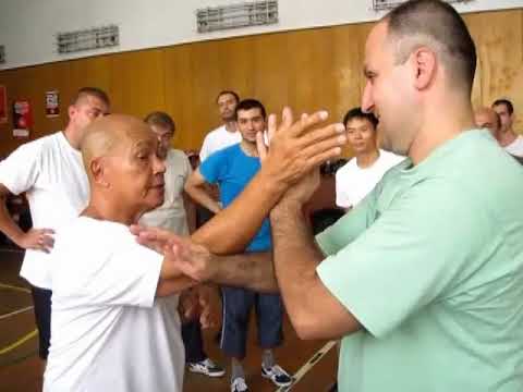 hb Nino Bernardo`s Ving Tsun BG Seminar 2015