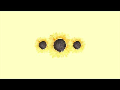 Post Malone / Swae Lee "Sunflower" Type Beat | 2019 Instrumental