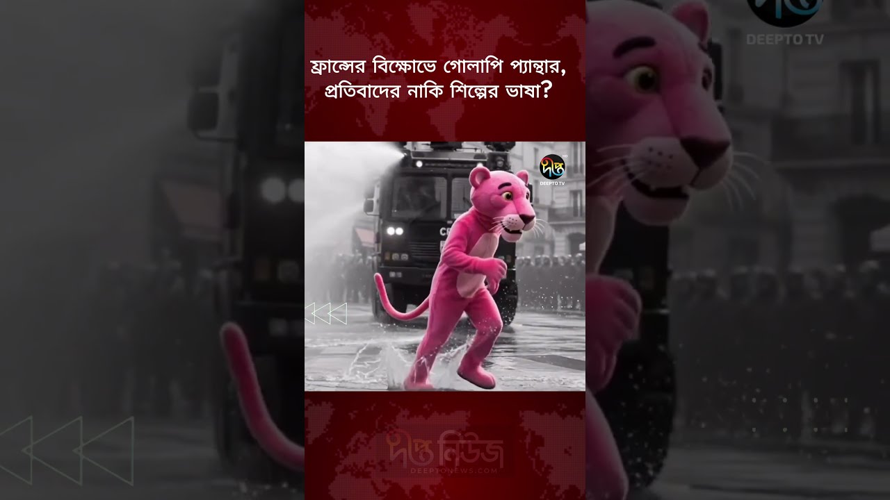 ফ্রান্সের বি’ক্ষো’ভে গোলাপি প্যান্থার! প্রতিবাদের নাকি শিল্পের ভাষা? l France l Pink l Deepto News