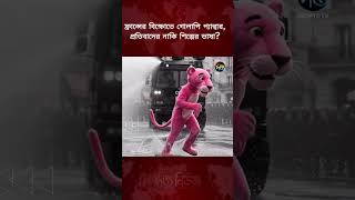 ফ্রান্সের বি’ক্ষো’ভে গোলাপি প্যান্থার! প্রতিবাদের নাকি শিল্পের ভাষা? l France l Pink l Deepto News