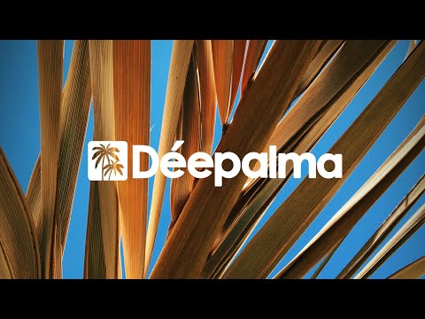 Mika Olson - Better (Rich Vom Dorf Remix) [Déepalma Records]