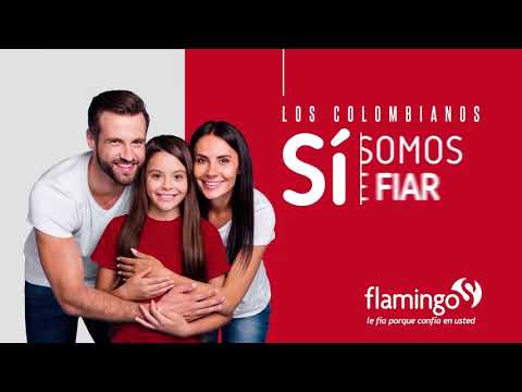 Flamingo video thumbnail