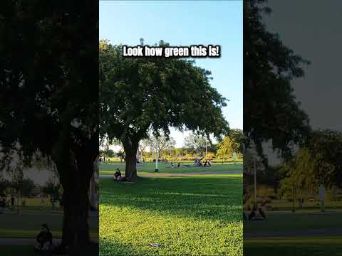 🌳 One of the Greenest Places in Argentina!