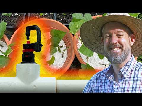 Simplifying Plant Propagation for Sustainable Gardening