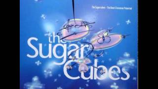 09 Water / The Sugarcubes - The Great Crossover Potential