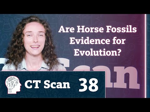Are Horse Fossils Evidence for Evolution? (Episode 38)