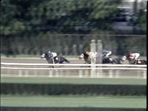 Personal Ensign - The 1988 Beldame (G1)