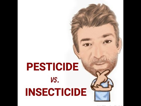 English Tutor Nick P Lesson (602) The Difference Between Insecticide and Pesticide