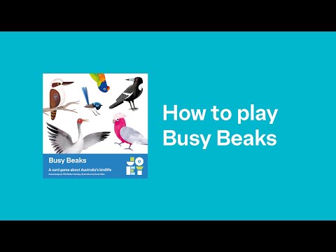 How to play Busy Beaks by Joey Games