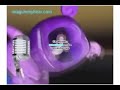 KlaskyKlaskyKlaskyKlasky Gummy Bear In G Major 9