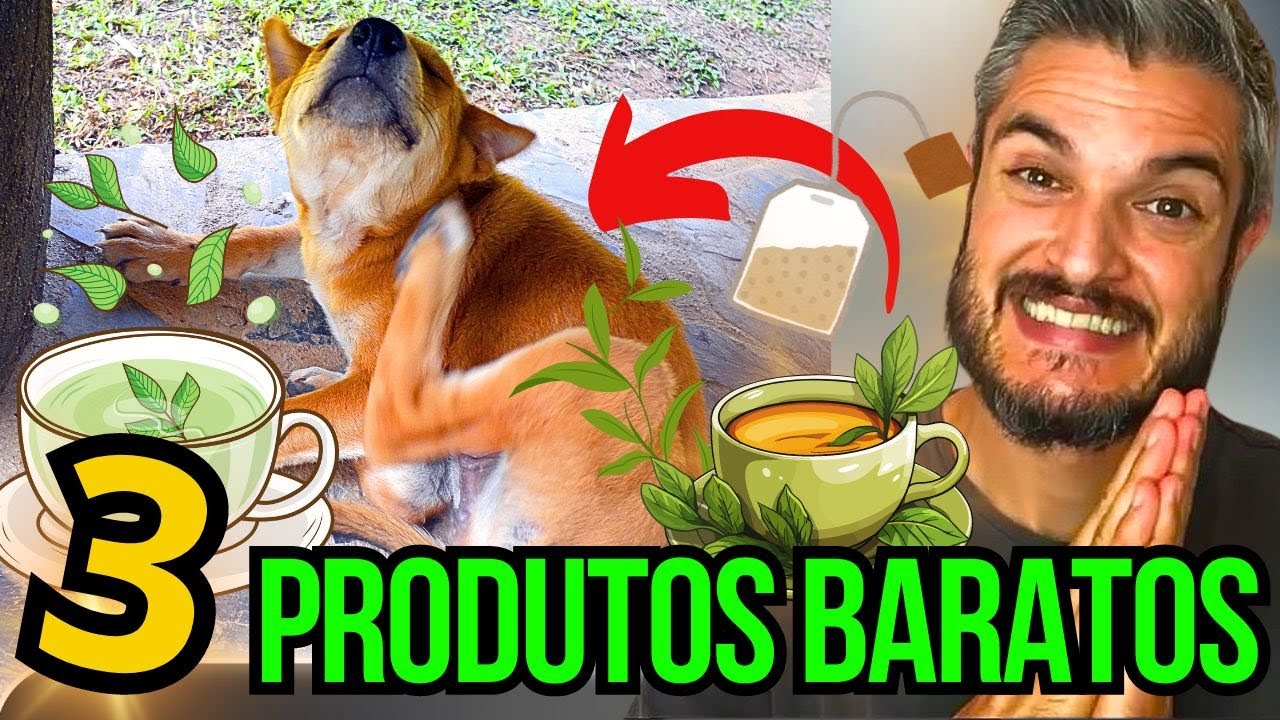 MELHOR REMÉDIO PARA ACABAR COM A DERMATITE E COCEIRA DO CACHORRO REMÉDIO NATURAL BARATO CURA CÃES