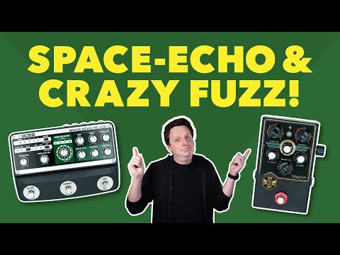 BEETRONICS Swarm and Boss re-202 space echo (Pedal Unboxing)